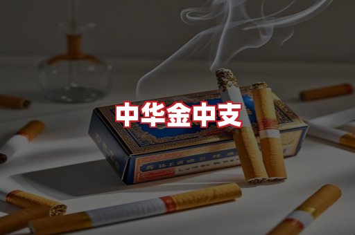 中华金中支